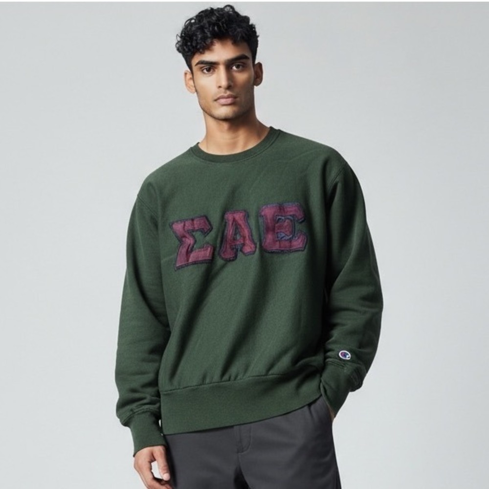 Vintage Sigma-Alpha-Epsilon Crewneck Champion Reverse Weave Sweatshirt Frat 2X